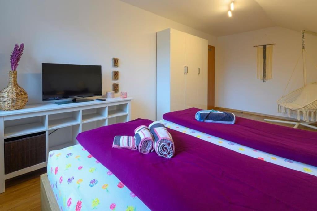 Family Apartment Bad Goisern Ngoại thất bức ảnh